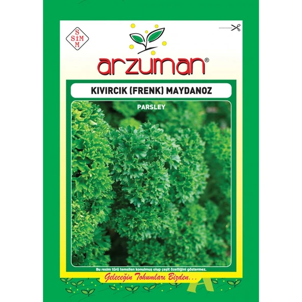 Arzuman Kıvırcık (Frenk) Maydanoz ürün görseli 1