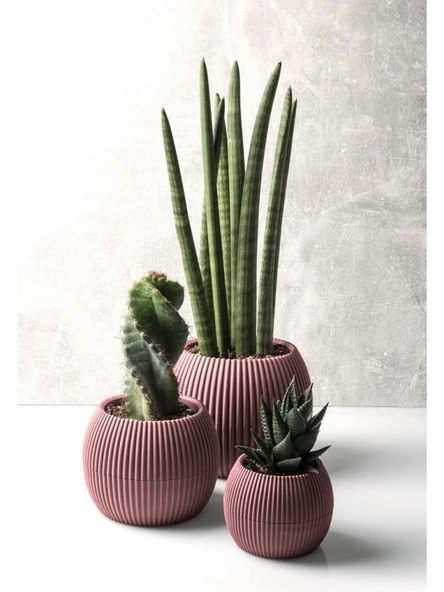 Omnipazar KRS Mercan Dekoratif Kaktüs Sukulent Plastik Saksı Takımı 3'lü Set Soft Pembe ürün görseli 1
