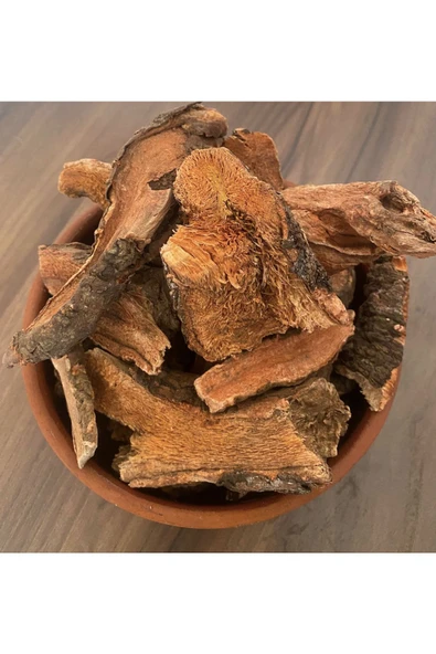 aleyna baharat Işkın Kökü 50 gr Içkın Uçkun Kökü Yayla Muzu Işgın ürün görseli 1