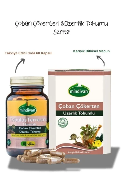 Mindivan Çoban Çökerten (Tribulus Terrestris) Kapsül+ Çoban Çökerten Macun ürün görseli 1