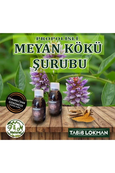 Tabib Lokman Meyan Kökü Şurubu 230 ml 2'li ürün görseli 1