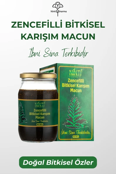 nintipharma Zencefilli Ballı Bitkisel Karışımlı Macun, Ibni Sina Terkibi Zengin Içerikli Macun 460gr ürün görseli 1