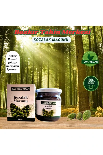 Tabib Lokman Bozkır Tahin Merkezi Kozalak Macunu 240gr ürün görseli 1