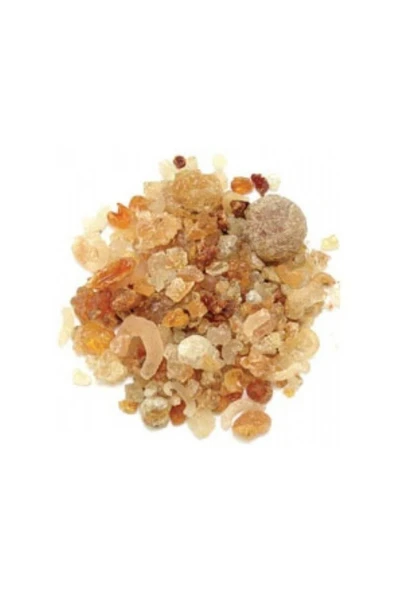 NETTENS Arap Zamkı Gum Arabic Parça 100 gr ürün görseli 1