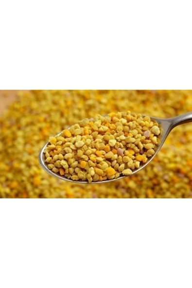 Lokman Polen 100 Gr ürün görseli 1