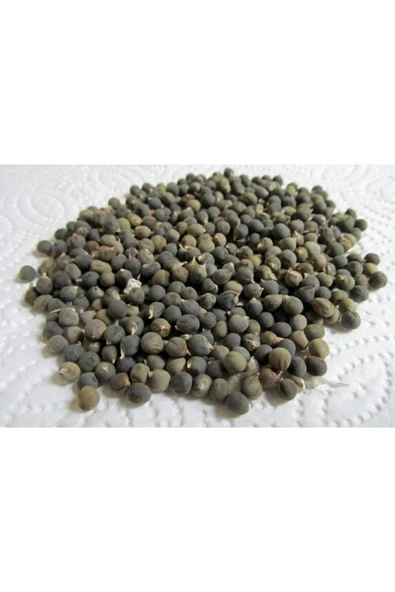 Çerçi Yusuf Bamya Tohumu 500 gr ürün görseli 1