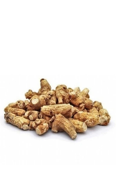 aleyna baharat Çöven Kökü 500 Gr. Çöven Otu Kök Sabun Otu ürün görseli 1
