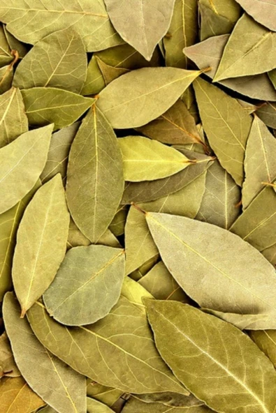 Doğal Defne Yaprağı 1. Kalite Lüks 100 Gr ürün görseli 1