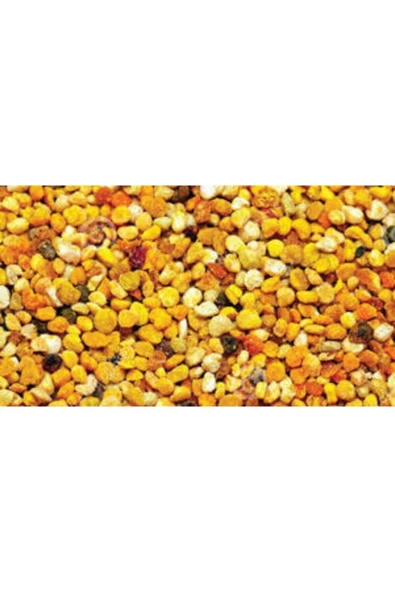 Karden Polen 100 Gr - Resim 3