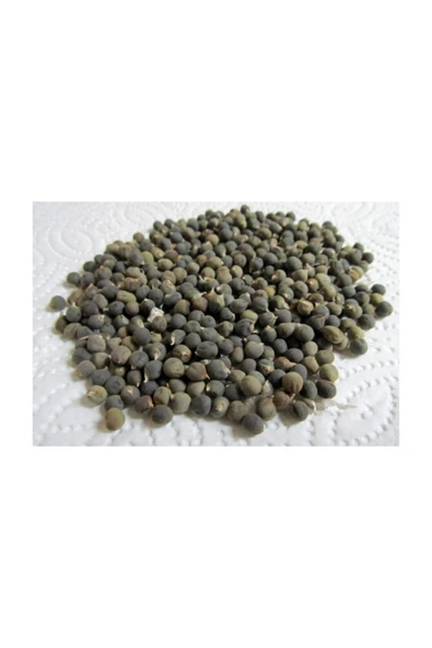 DO DOĞAL YAŞAM ÜRÜNLERİ Bamya Tohumu 100 Gr ürün görseli 1