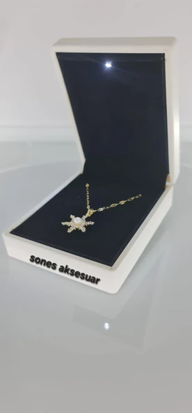 Işıklı Kutulu Kartanesi Çelik kolye ürün görseli 1