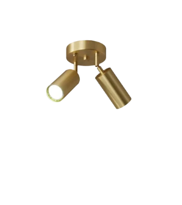 Rsylight Retro Eskitme Kaplama 180 Derece Hareketli Modern Spor 2 Li Led Spot Avize Beyaz Ampullü ürün görseli 1