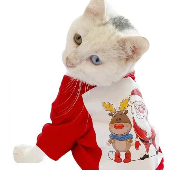 Noel Baba Ve Rudolph Kedi Tişörtü - Resim 7