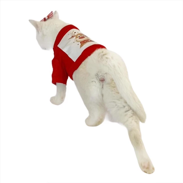 Cute Rudolph Kedi Tişörtü Noel - Resim 6