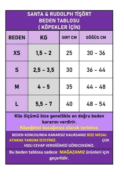 Noel Baba Ve Rudolph Köpek Tişörtü - Resim 3