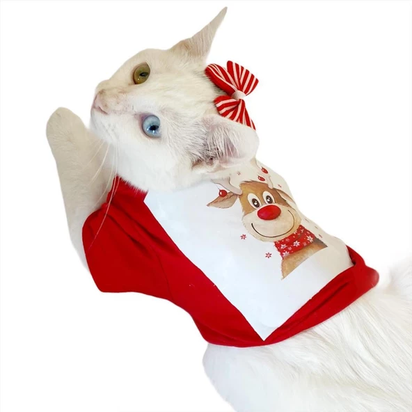 Cute Rudolph Kedi Tişörtü Noel - Resim 5
