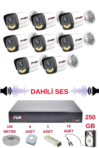 FURY 8 li Sesli Gece Renkli Görüş Güvenlik Kamerası Su Geçirmez Güvenlik Kamerası Seti 5590s 250GB ürün görseli 1