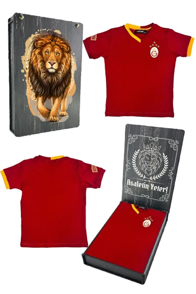 Galatasaray Orijinal 5 Yıldızlı Kırmızı Basic Çocuk T-shirt Gs Aslan Baskılı Hediyelik Ahşap Kutulu ürün görseli 1