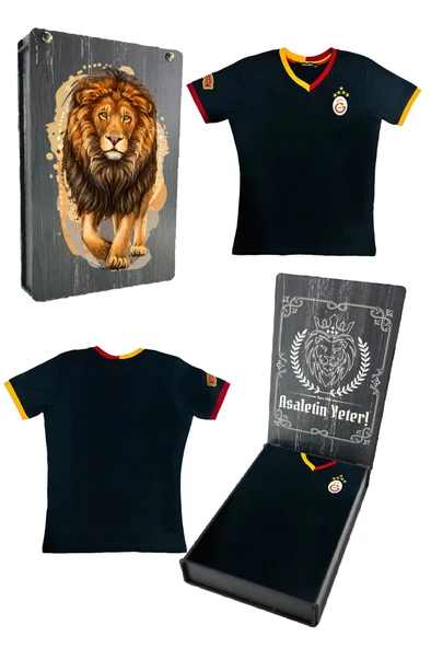 Galatasaray Orijinal 5 Yıldızlı Siyah Basic Çocuk T-shirt Gs Aslan Baskılı Hediyelik Ahşap Kutulu ürün görseli 1