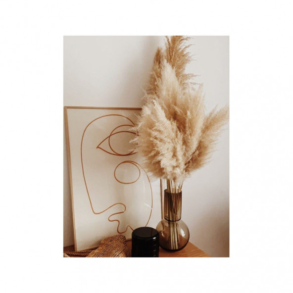 PAMPAS 10 Adet - Resim 4