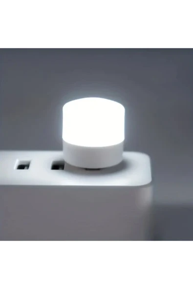 Ayver TAŞINABİLİR MİNİ USB LED BEYAZ IŞIK TASARRUFLU USB KİTAP OKUMA,MASA,GECE LAMBASI LAMBASI 1 ADET ürün görseli 1
