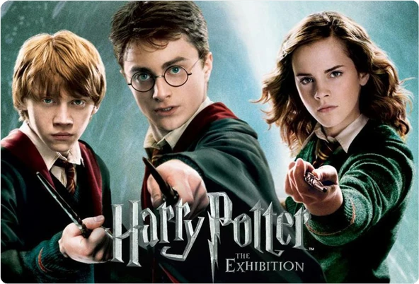 Harry Potter Dikdörtgen Pasta Yenilebilir Resim Baskı 28*19 cm ürün görseli 1