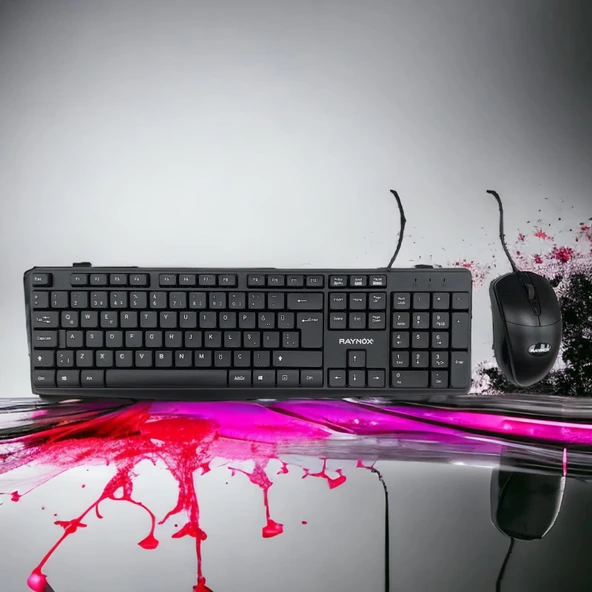 RAYNOX RX-KM101 USB Q KABLOLU KLAVYE&MOUSE SET ürün görseli 1