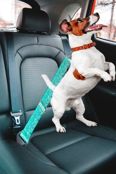 Tüm Araçlara Uyumlu Köpek Emniyet Kemeri ürün görseli 1