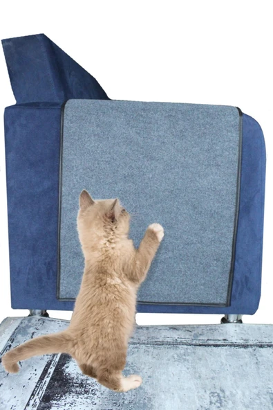 bypet Koltuk Kenarı Koruyucu Kedi Tırmalama Halısı (50 CM X 100 CM) Koltuk Tırmalama Halısı ürün görseli 1