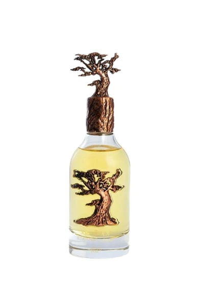 Lattafa Pride Eternal Oud Edp 100 ml - Resim 2