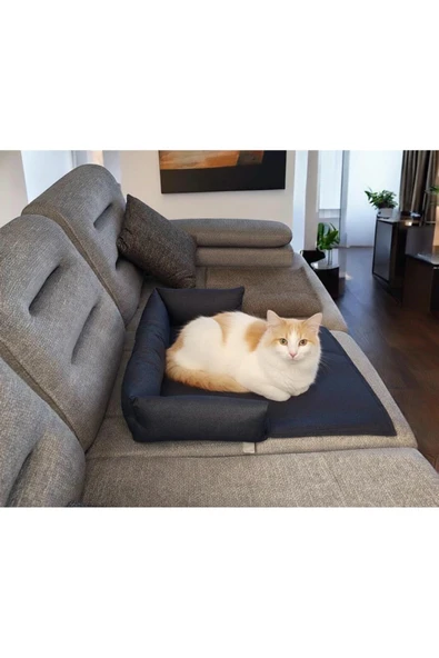 PATİTEX Kedi Matı- Köpek Matı-araç Içi Yatak- Çitf Taraflı-kanepe Yatak-petek Altı Yatak-kedi-köpek Pedi ürün görseli 1