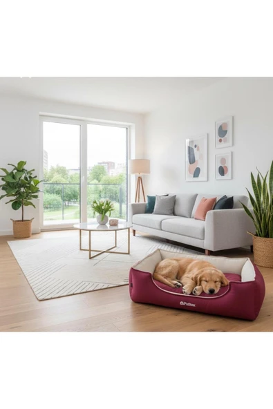 PATİTEX Kedi-köpek Yatak - Yıkanabilir Yatak -Gabardin Kumaş -Kaliteli Köpek Yatakları ürün görseli 1