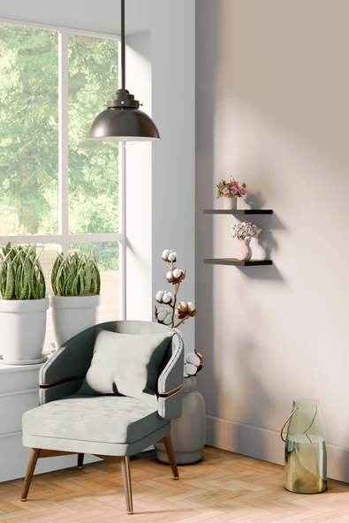 yankı-byeg 20 Cm 2li Mat Siyah Mdf Uçan Mini Duvar Rafı Gizli Bağlantı Çiçeklik ürün görseli 1