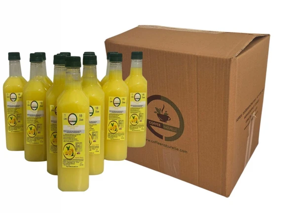 konsatre Limonata 1 koli 12 adet ürün görseli 1