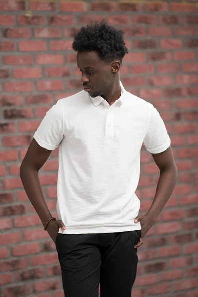 Advante Regular Fit Likralı Kendinden Desenli Polo Yaka T-shirt ürün görseli 1