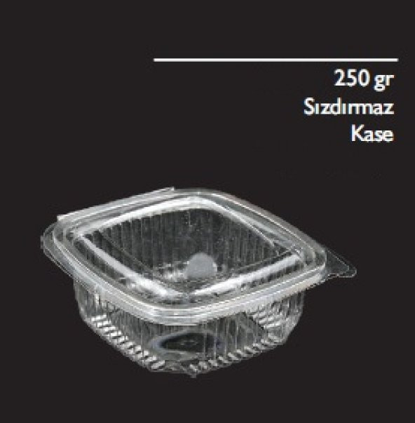 250 GR SIZDIRMAZ PLASTİK KAB KAP KASE 100LÜ ürün görseli 1