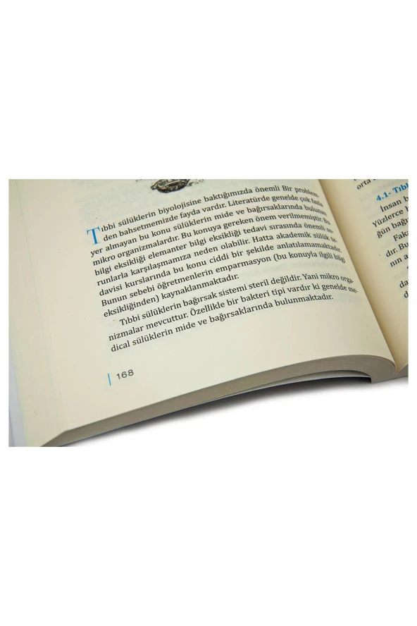 Geleneksel Şifa Hazinesi - Resim 5