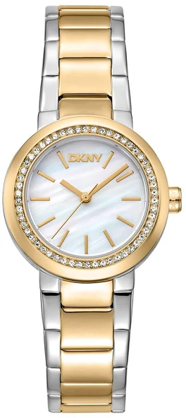 DKNY DK1L024M0155  Kadın Kol Saati ürün görseli 1