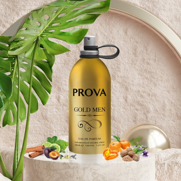 Prova Gold Men EDP Erkek Parfüm 100 ml - Resim 4