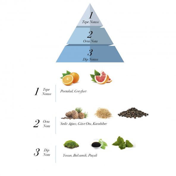 Prova Heracles EDP Erkek Parfüm 2 x 100 ml - Resim 2