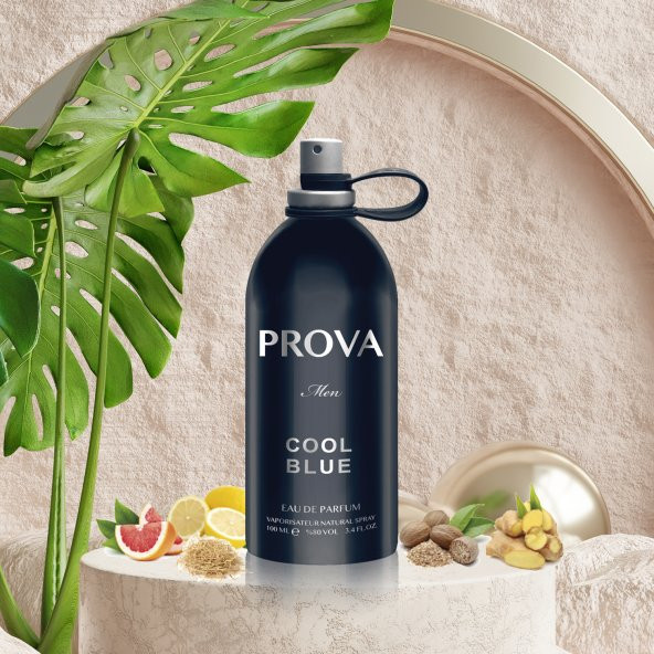 Prova Cool Blue EDP Erkek Parfüm 120 ml - Resim 4