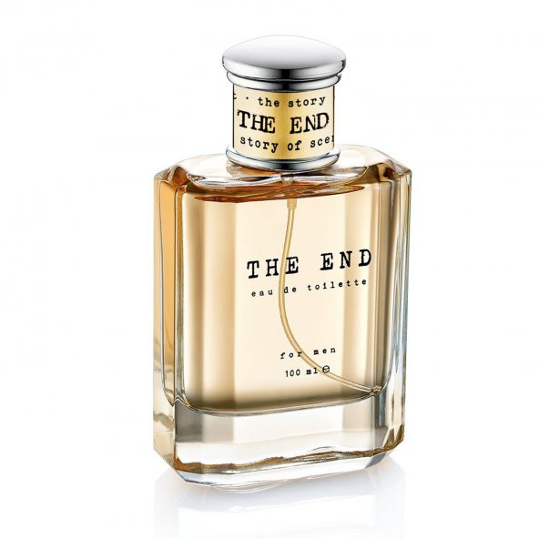 The End EDT Erkek Parfüm 100 ml ürün görseli 1
