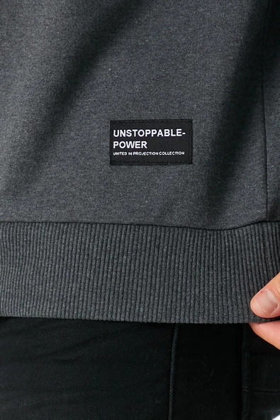 Erkek Antrasit Basic Bisiklet Yaka Sweatshirt - Resim 4