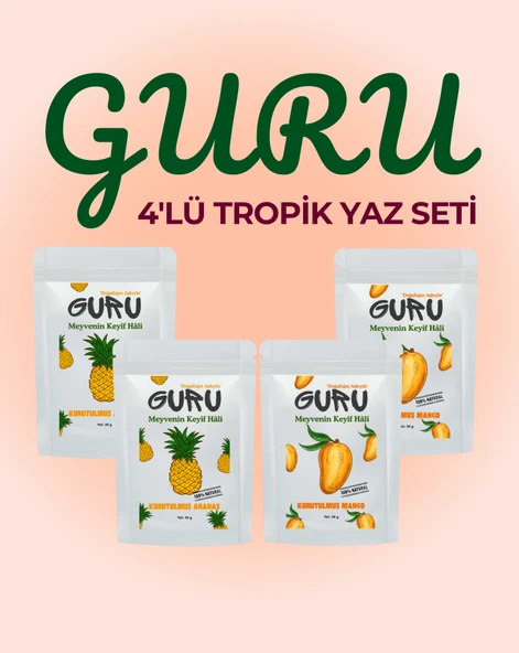 Guru 4'lü Tropik Yaz Seti Meyve Kurusu ürün görseli 1