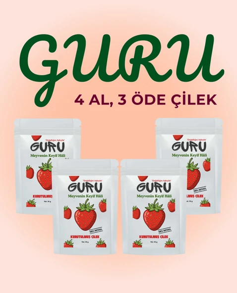 Guru 4 Al 3 Öde Çilek Kurusu Seti Meyve Kurusu ürün görseli 1