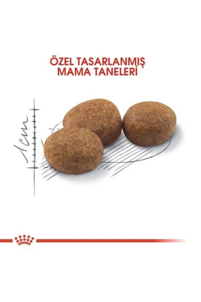 Royal Canin Sterilised 37 Kedi Kuru Maması 2 Kg ürün görseli 1