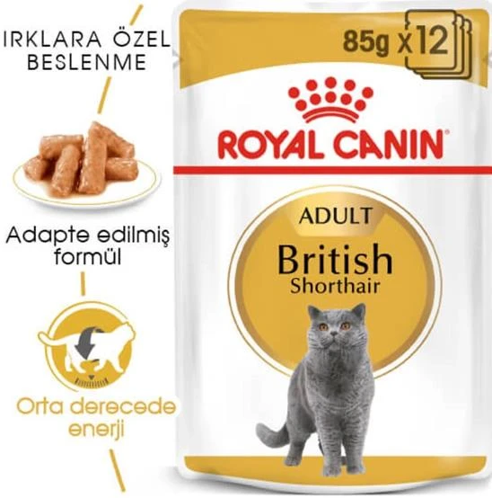 Royal Canin British Shorthair İçin Özel Yetişkin Kedi Maması 85 gr x 12 ad ürün görseli 1