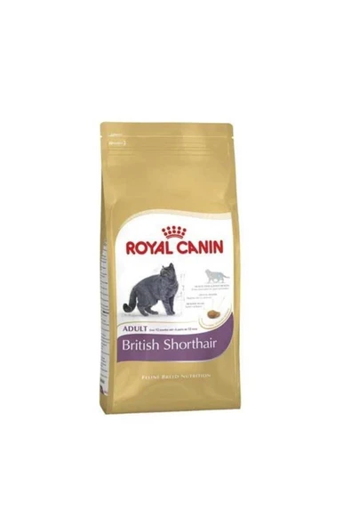 Royal Canin British Shorthair Yetişkin Kedi Maması 10 kg ürün görseli 1