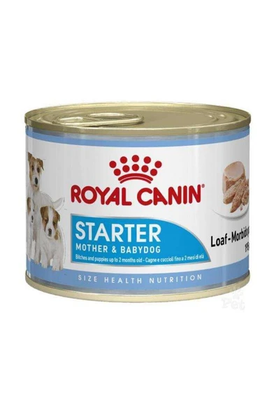 Royal Canin Starter Mousse Anne Ve Yavruları Için Köpek Konservesi 195 gr ürün görseli 1