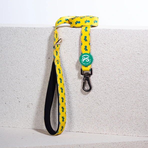 Pawstar Cactus Köpek Gezdirme Kayışı 120 cm x 2 cm ürün görseli 1